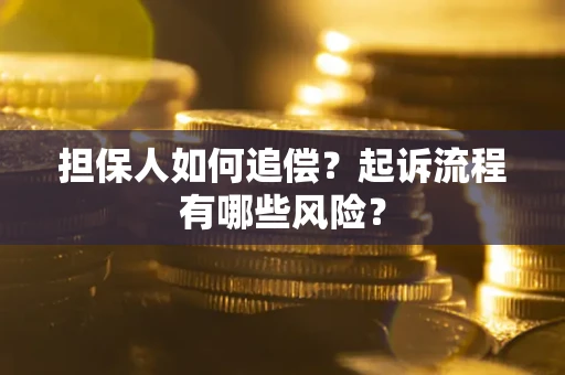北京担保人如何追偿？起诉流程有哪些风险？