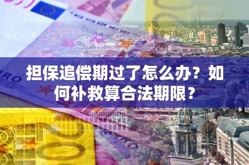北京担保追偿期过了怎么办？如何补救算合法期限？