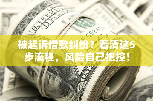北京被起诉借款纠纷？看清这5步流程，风险自己把控！